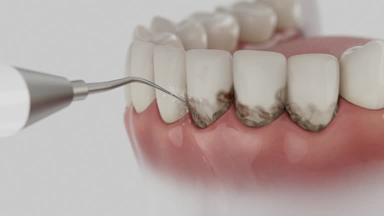 Reliable Dental contractor in Petal, MS by Dentist Open Now